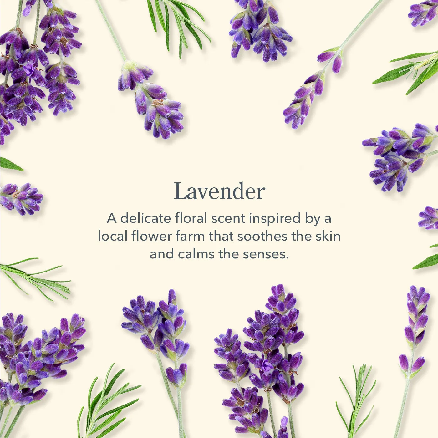 Lavender Conditioner